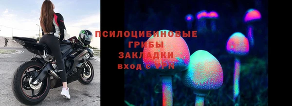 прущие грибы Абдулино