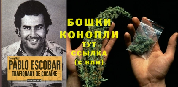 прущие грибы Абдулино